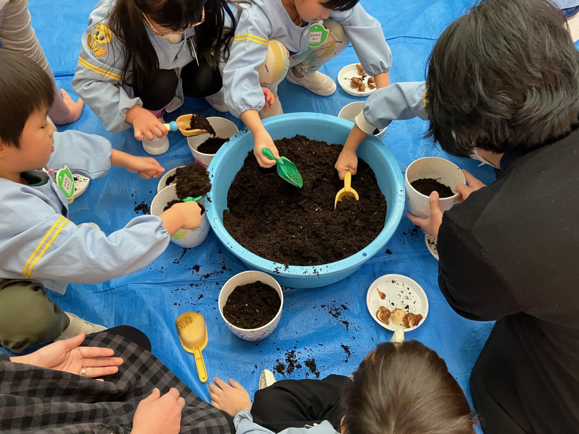 チューリップの栽培セットを射水市の 全園児にプレゼントしました。　12月23日には大江保育園で園児との植えこみを実施！